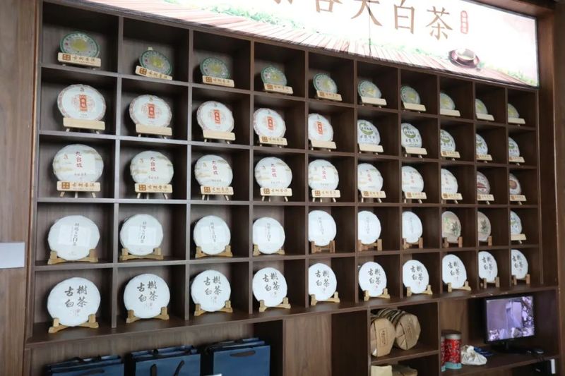 有关于何国华到民乐镇调研茶产业发展的新闻(6)