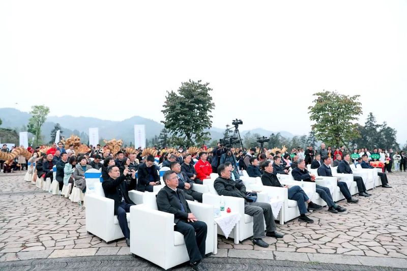 有关于中国紫茶高峰论坛在牛郎坪茶叶现代农业园区举行的最新消息(4)