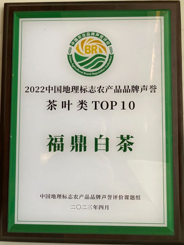 关于福鼎白茶品牌声誉87.53，入选2022中国地理标志农产品（茶叶）品牌声誉第七位的新闻(2)