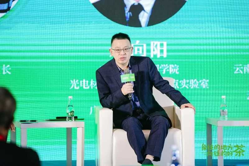 关于走,去喝茶,2023西双版纳普洱茶交易会正在进行中的相关内容(13)