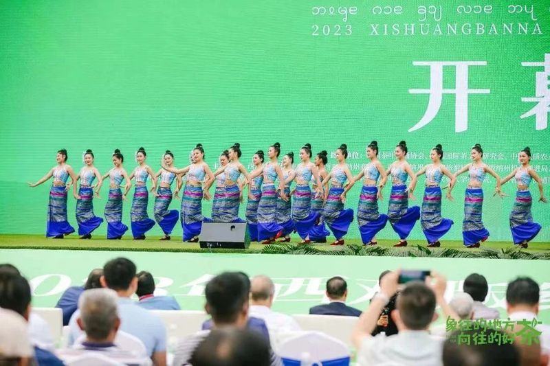 关于走,去喝茶,2023西双版纳普洱茶交易会正在进行中的相关内容