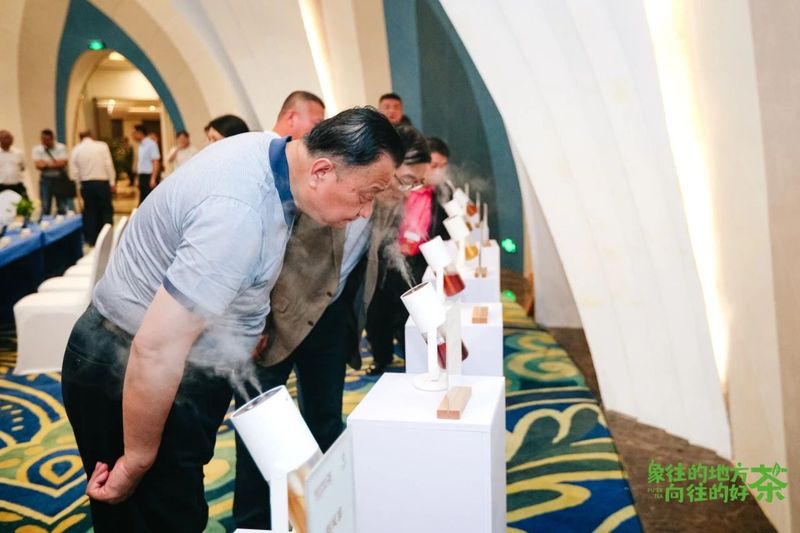 关于走,去喝茶,2023西双版纳普洱茶交易会正在进行中的相关内容(26)