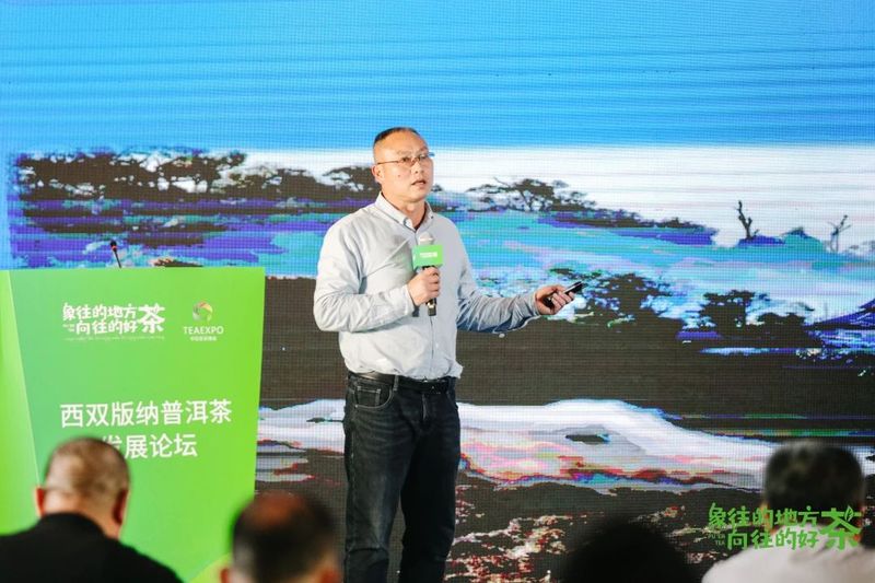 关于走,去喝茶,2023西双版纳普洱茶交易会正在进行中的相关内容(9)