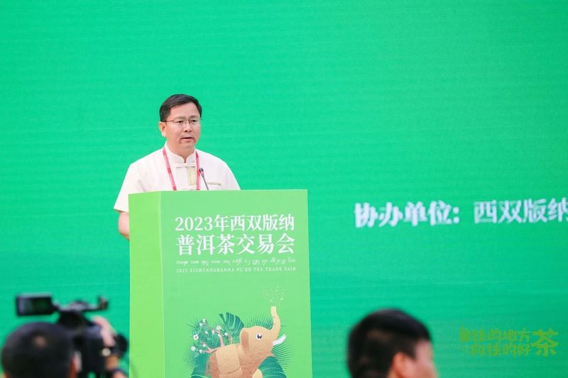关于走,去喝茶,2023西双版纳普洱茶交易会正在进行中的相关内容(3)