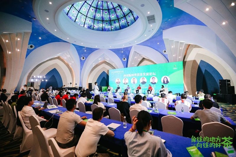 关于走,去喝茶,2023西双版纳普洱茶交易会正在进行中的相关内容(10)