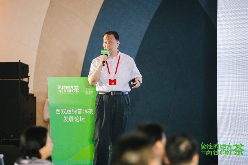 关于走,去喝茶,2023西双版纳普洱茶交易会正在进行中的相关内容(7)