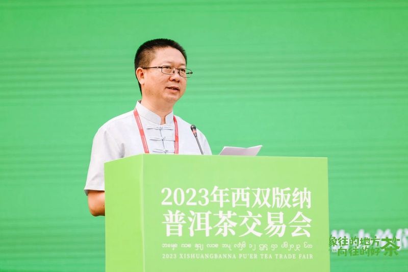 关于走,去喝茶,2023西双版纳普洱茶交易会正在进行中的相关内容(1)