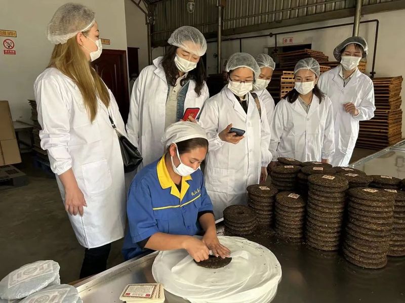 有关于“携手新征程 再向佤山行”佤山寻茶季活动在沧源举行的消息(2)