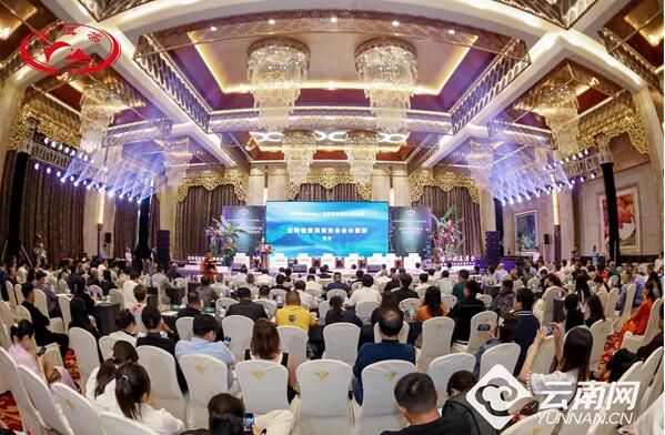 有关于首届普洱茶企业家论坛在云南景洪举行的相关内容(1)