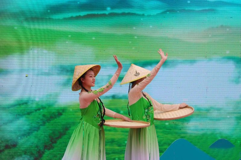 有关于中国贡眉之乡（佳阳）首届茶旅文化节暨第二届杜鹃花节绚烂启幕！的资讯(2)
