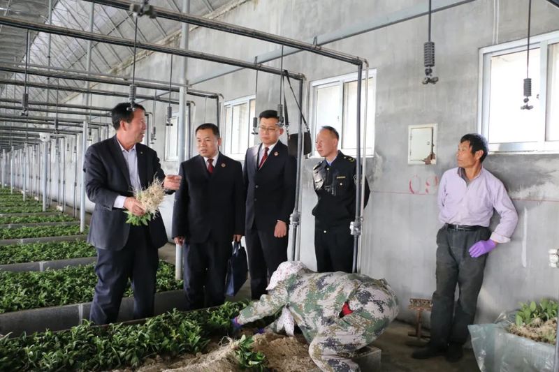 关于日照岚山:持续打造茶产业“三重”检察保护体系的内容