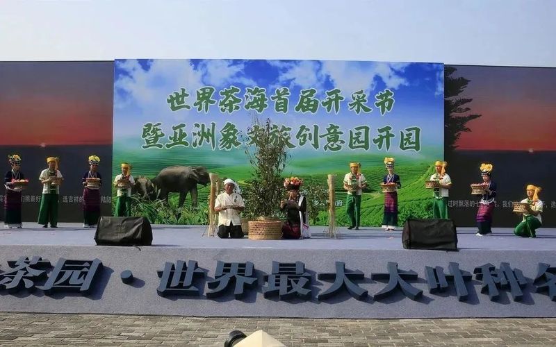 有关于一周速读：2023春茶采摘指数、首届中国白茶交易会、1-2月茶叶出口简报的资讯(5)