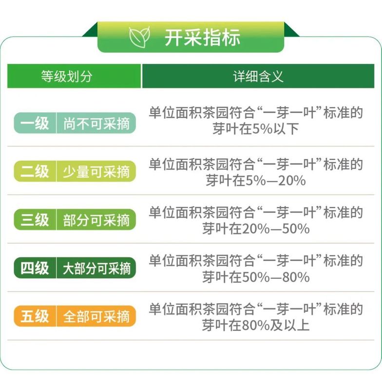 关于安徽省春茶开采动态发布（第四期）的信息(3)