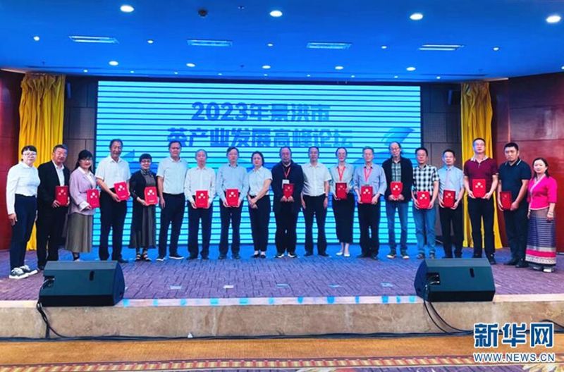 有关于西双版纳州景洪市：推动茶产业高质量发展之路走深走实的资讯(2)