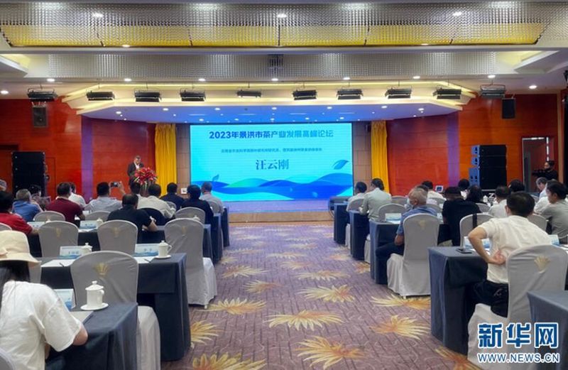 有关于西双版纳州景洪市：推动茶产业高质量发展之路走深走实的资讯