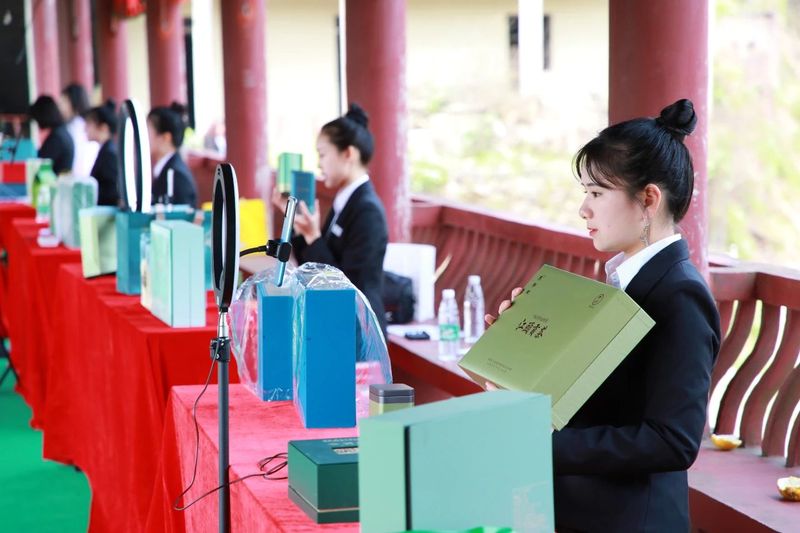 有关于2023年耒阳市乡村文化旅游节之首届江头贡茶文化节隆重开幕！的消息(12)