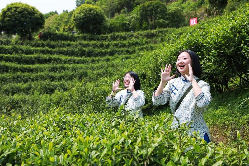 有关于2023年耒阳市乡村文化旅游节之首届江头贡茶文化节隆重开幕！的消息(15)