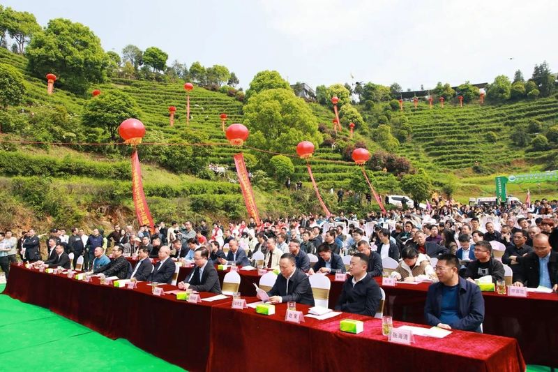 有关于2023年耒阳市乡村文化旅游节之首届江头贡茶文化节隆重开幕！的消息(6)