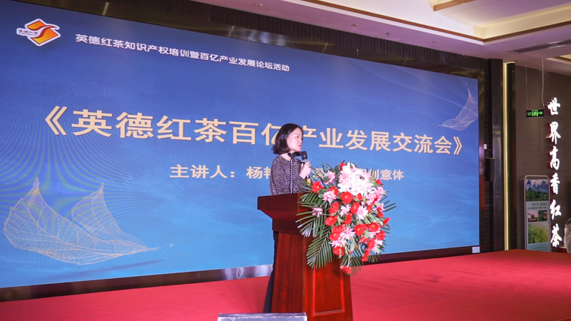 有关于开创新视界 引领"茶"未来——英德红茶知识产权培训暨百亿产业发展论坛圆满成功的(3)