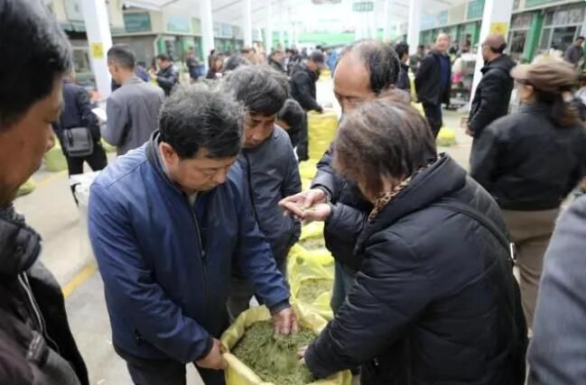有关于千岛湖春茶交易额突破10亿元的资讯(1)