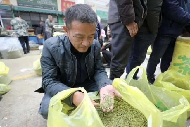 有关于千岛湖春茶交易额突破10亿元的资讯