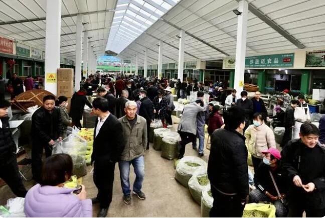 有关于千岛湖春茶交易额突破10亿元的资讯(4)