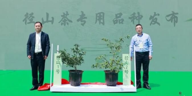 关于芳菲四月，赴一场春天的盛宴——2023“径山茶·天猫春茶节”启幕的消息(2)