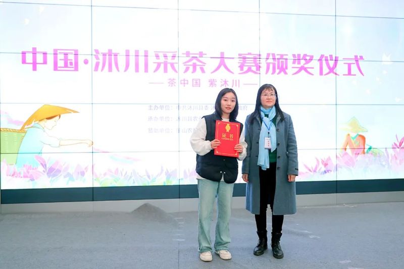 有关于绿茶飘香！牛郎坪这场采茶比赛太精彩！的最新消息(5)