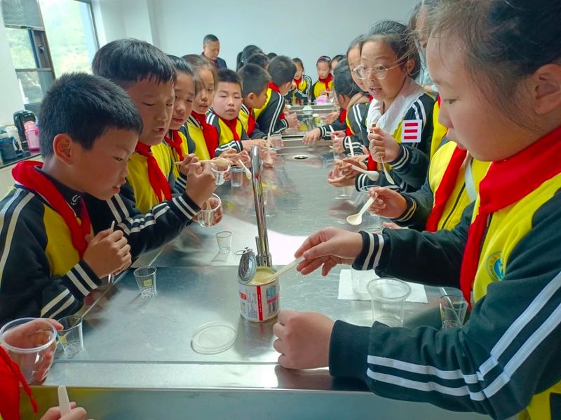 有关于茶文化"六进"白琳中心小学开展茶旅研学活动的信息(11)