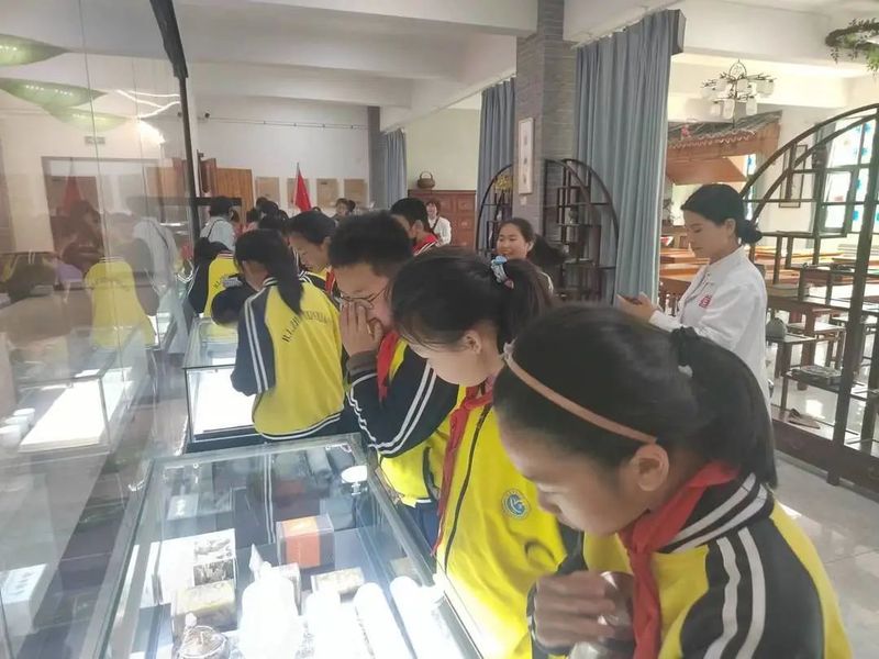 有关于茶文化"六进"白琳中心小学开展茶旅研学活动的信息(4)