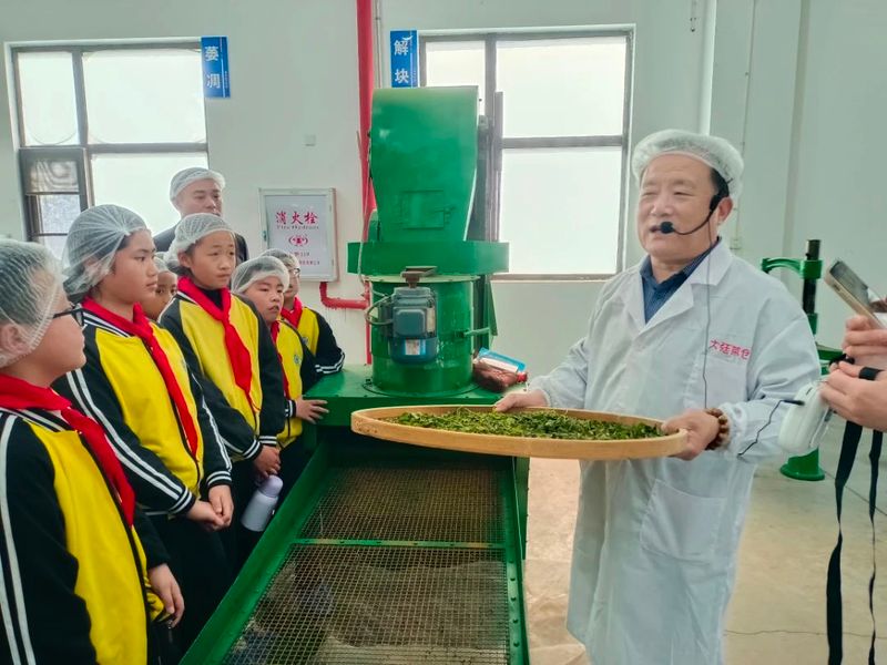 有关于茶文化"六进"白琳中心小学开展茶旅研学活动的信息(9)