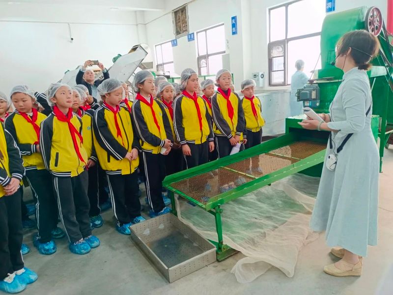 有关于茶文化"六进"白琳中心小学开展茶旅研学活动的信息(10)