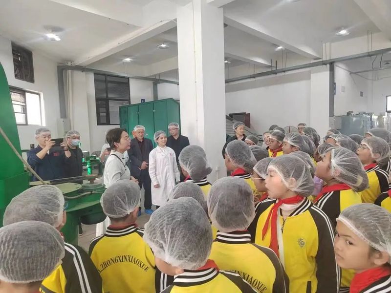 有关于茶文化"六进"白琳中心小学开展茶旅研学活动的信息(7)