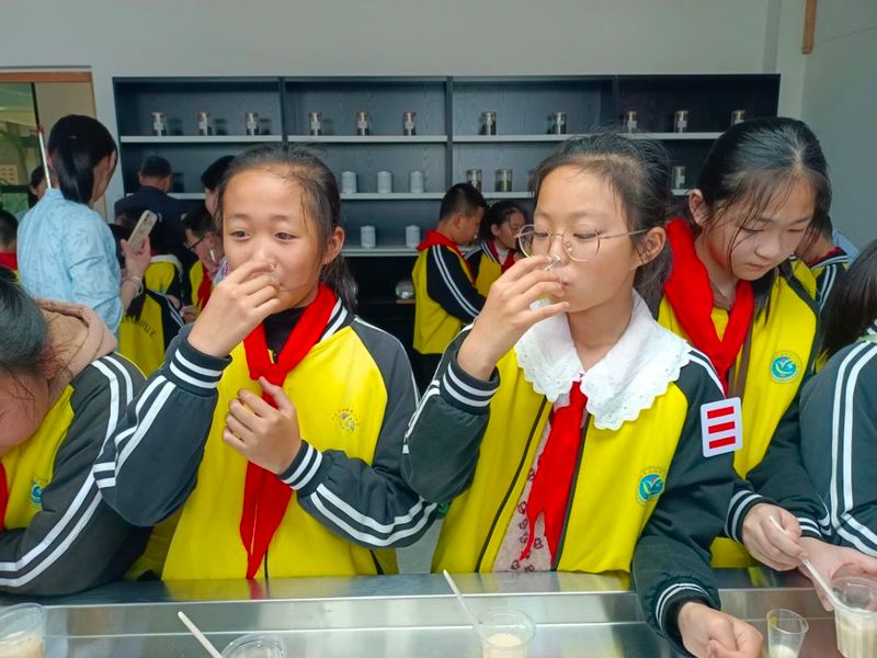 有关于茶文化"六进"白琳中心小学开展茶旅研学活动的信息(12)