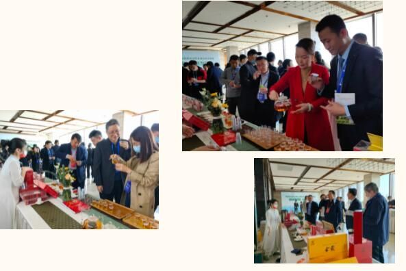 关于坦洋工夫红茶香飘首届民航绿色发展论坛的内容(3)