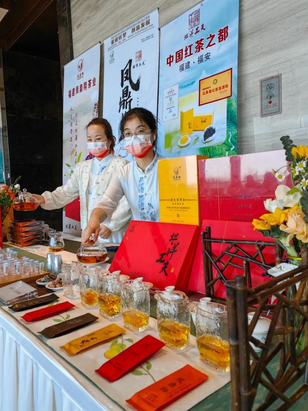 关于坦洋工夫红茶香飘首届民航绿色发展论坛的内容(2)