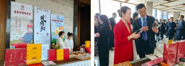 关于坦洋工夫红茶香飘首届民航绿色发展论坛的内容(1)