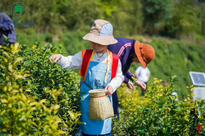 关于稽东春山好 雅叙共发展——树大携手企业 赋能乡村振兴的信息(8)