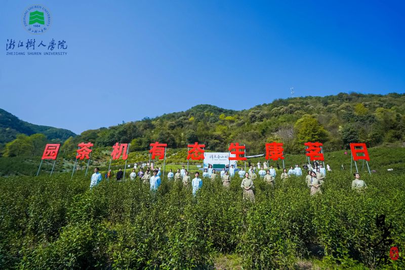 关于稽东春山好 雅叙共发展——树大携手企业 赋能乡村振兴的信息