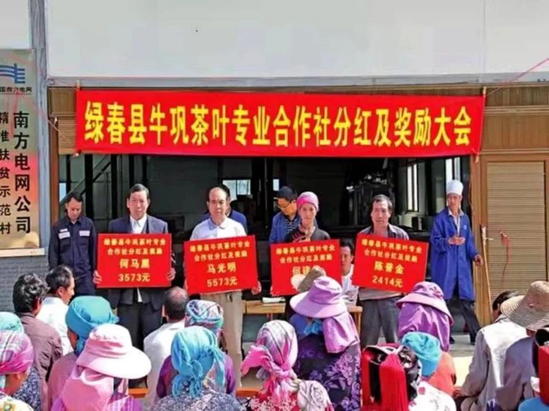 有关于牛孔镇：做好茶文章 沏出振兴路的消息(4)