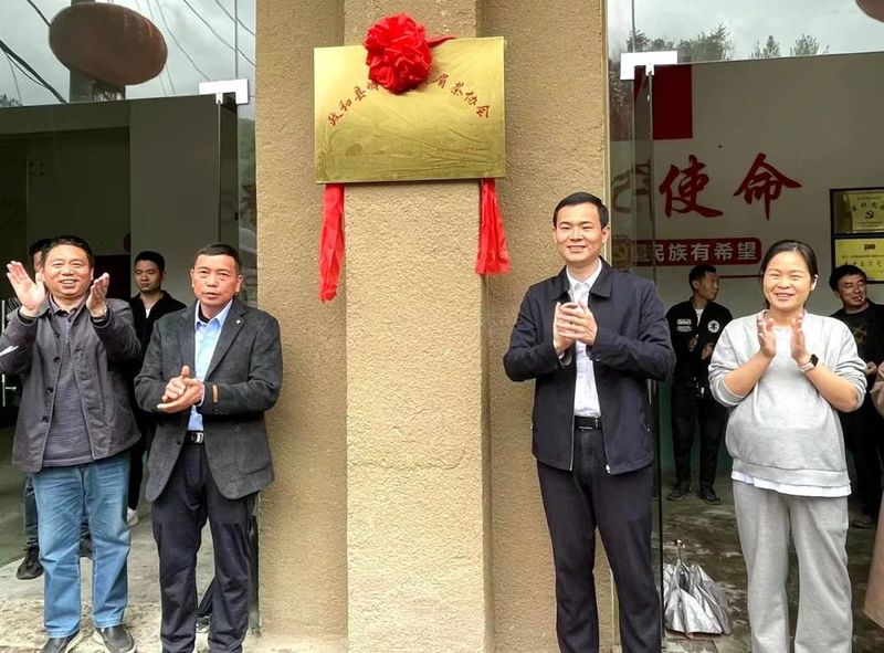 关于践行“三茶”理念 做强政和白茶  岭腰乡举行首届喊山开采节的资讯(1)