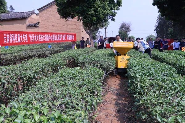 有关于云南省重大科技专项“世界大叶茶技术创新中心建设及成果产业化”现场观摩会暨重大成果发布会顺利召开的内容(2)
