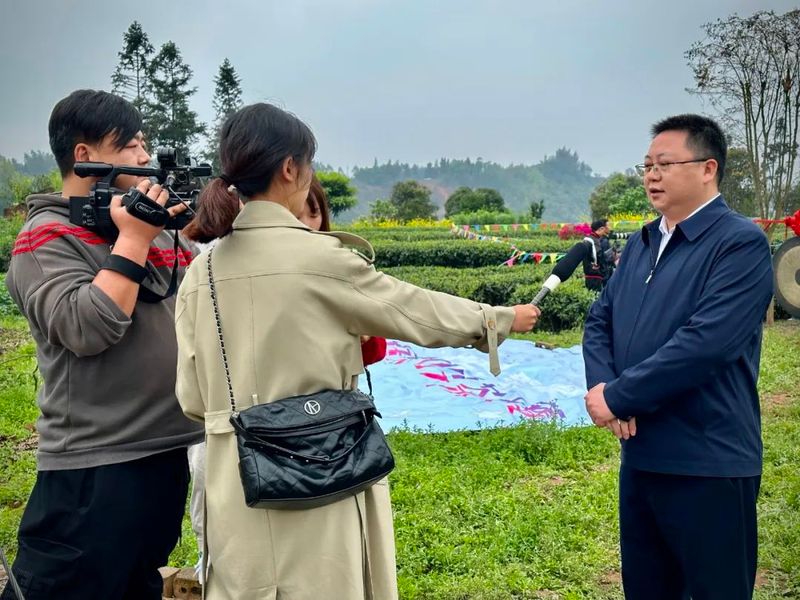 关于主流媒体和自媒体聚焦中国·沐川紫茶节的资讯