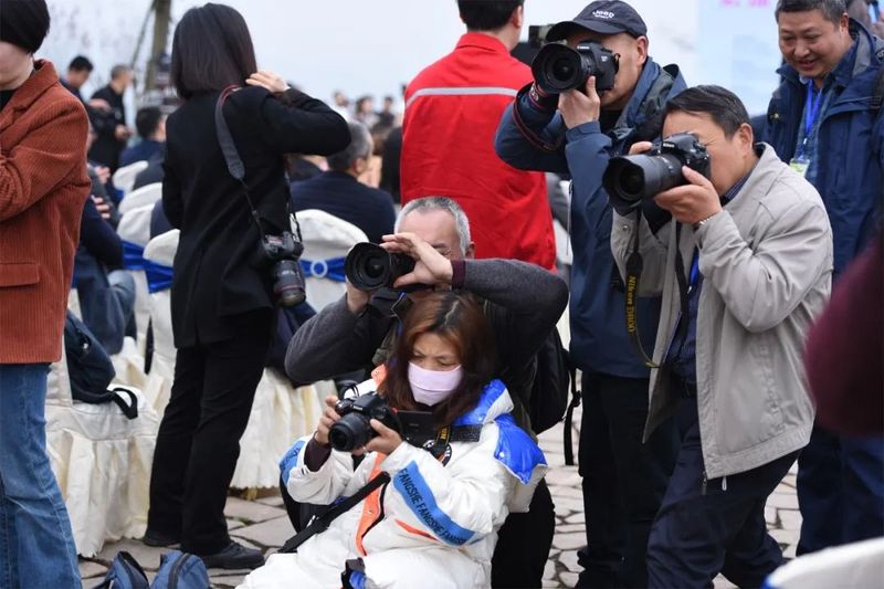 关于主流媒体和自媒体聚焦中国·沐川紫茶节的资讯(1)