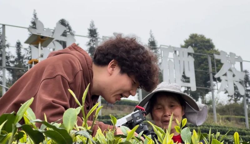 关于主流媒体和自媒体聚焦中国·沐川紫茶节的资讯(3)