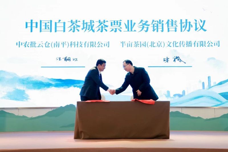 关于“政和白茶·北京茶王赛”颁奖典礼暨“政和白茶・健康中国行”北京站启幕的相关内容(8)