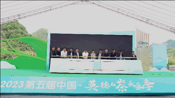 关于奋进茶百亿！英德红茶头采季开幕的资讯(2)