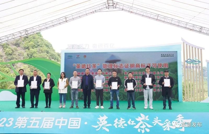 关于奋进茶百亿！英德红茶头采季开幕的资讯(10)