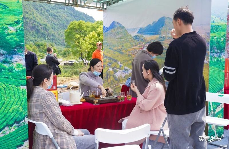 关于奋进茶百亿！英德红茶头采季开幕的资讯(13)