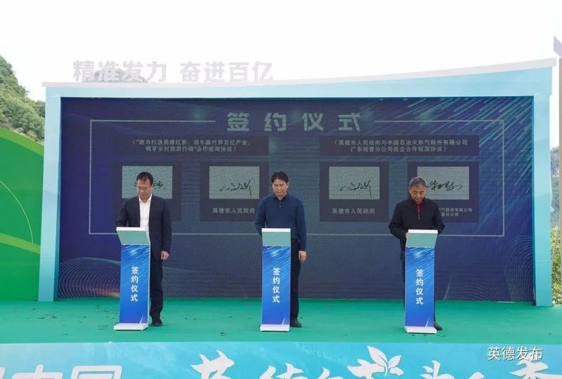 关于奋进茶百亿！英德红茶头采季开幕的资讯(4)